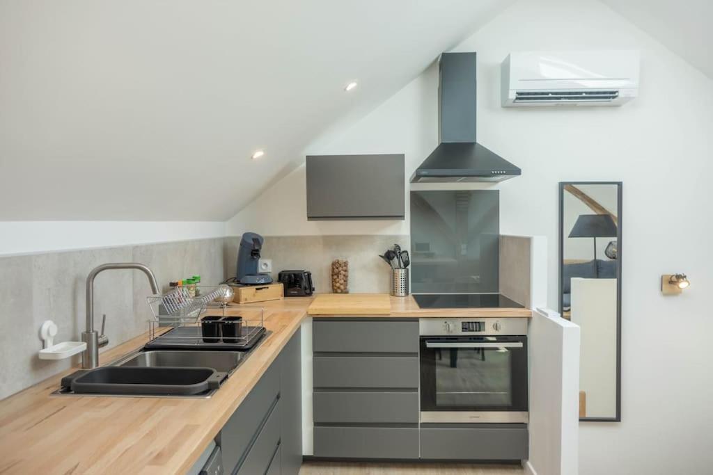 Maison/Appartement Avec Jardin Saint-Denis-en-Val Exteriér fotografie